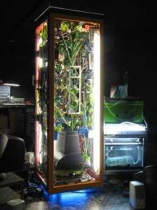 Biomodd Philipines