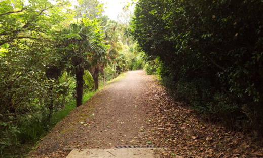 The track is quite wide at points, with the banks off to the left. Once again looking upstream