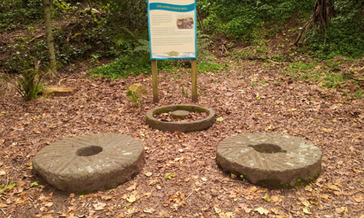 Grinding stones from the several mills that once were located here