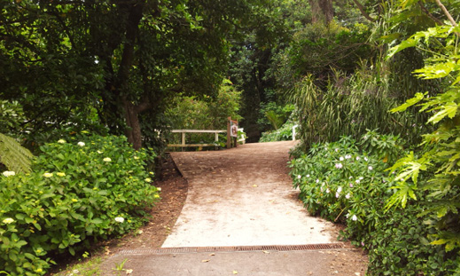 The view looking upward toward the end of the town centre part of the walkway. If needed further sites are located beyond