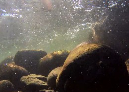 A still from footage taken under the water surface in the Waiwhakaiho River.