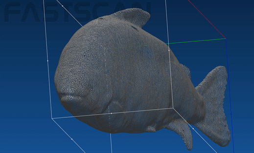 Salmon computer model