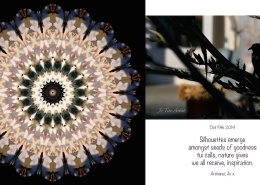Day1 Oct 19th 2014 RWN mandala