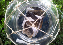 A vessel by vicki Smith