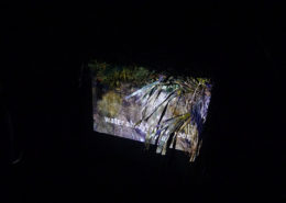 Helen Moore project