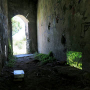 Azadeh Emadi project